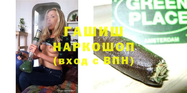 гашик Алексин