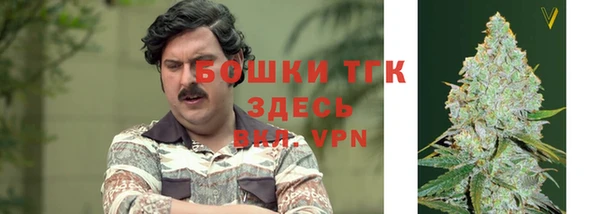 прущие крисы Абинск