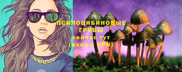 гашик Алексин