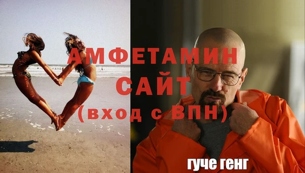 прущие грибы Заволжье