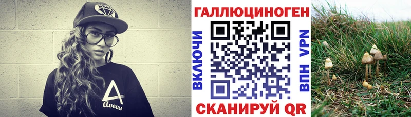 Псилоцибиновые грибы GOLDEN TEACHER  Ужур 